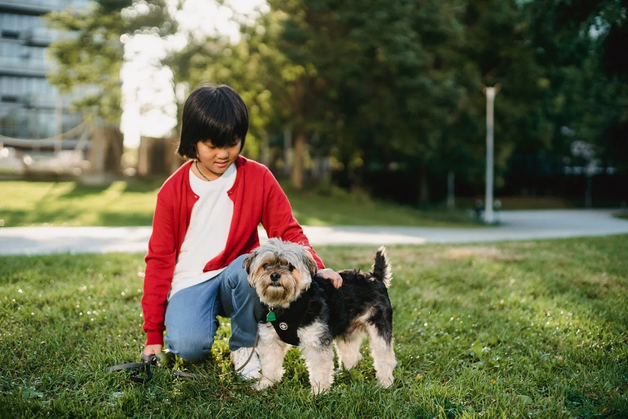 pet
